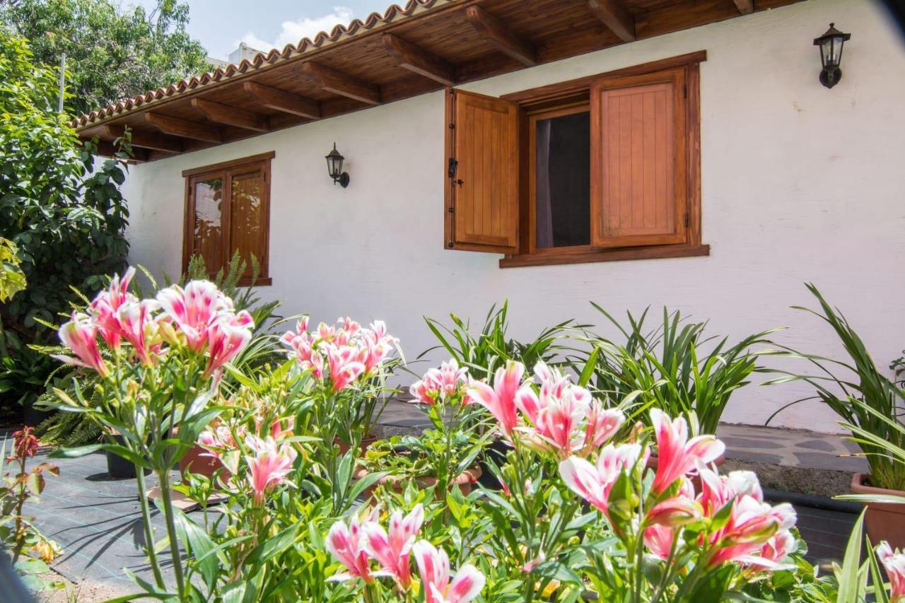 Cozy House Casa Vero Mai 伊科德·德·洛斯·维诺斯 外观 照片